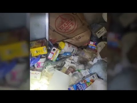 YouTube video thumbnail: Massachusetts Condominium Complex Goes to Court After One Unit Has Estimated 100,000 Bed Bugs