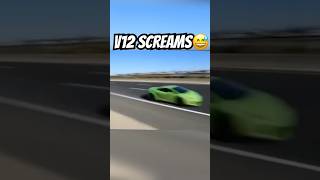 LAMBO OWNERS DONT HOLD BACK🥶