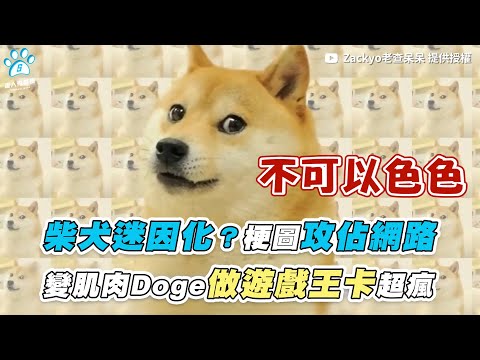 【柴犬迷因化？梗圖攻佔網路 變肌肉Doge做遊戲王卡超瘋】｜@Zackyo老查呆呆