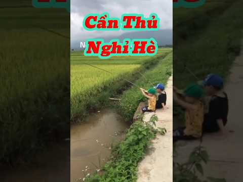 Vlog 1243 : Khối Nghỉ Hè Tập Câu Cá #nghisuave #fishing #câucá #đammêcâucá #giaitri #funny