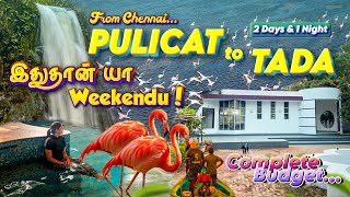 Chennaiக்கு பக்கத்துல ஒரு தரமான Farmstay🔥 | Tada Falls, Pulicat Lake | Groupஆ போக Semma Plan 😍