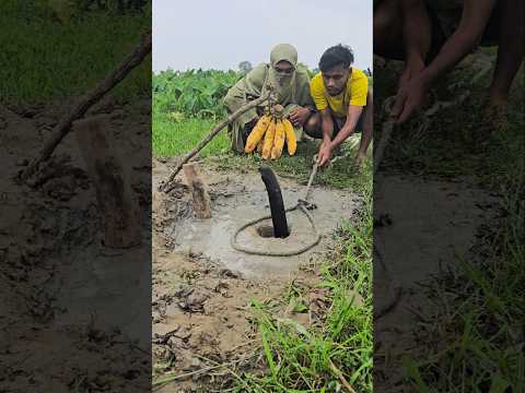 স্বা'মী স্ত্রী'র কি বুদ্ধি 😯