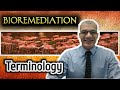 Bioremediation Concepts and Processes
