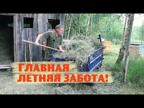 Подмочил свои тылы! //Рекордный урожай первых витаминов!