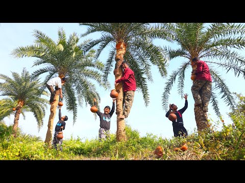 শীতের মধ্যে খেজুর গাছ থেকে রস পেরে গুড় বানিয়ে পায়েস রান্না | village style roser payes recipe