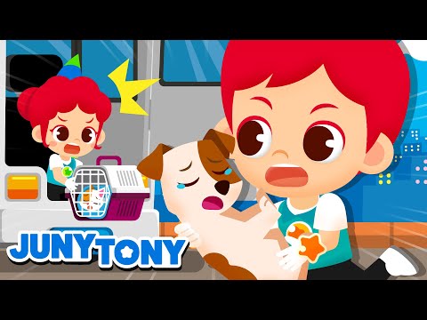 Os Direitos dos Animais | Proteja os Animais | Música Infantil | JunyTony em Português