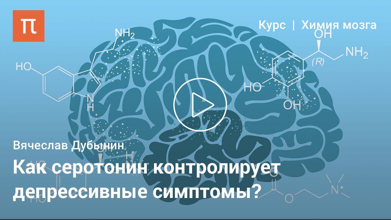 Серотонин --Вячеслав Дубынин