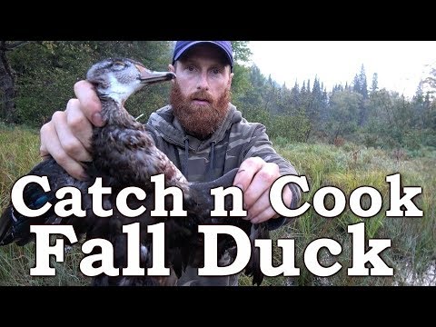 Catch n Cook DUCK! - I'M A TERRIBLE SHOT! - Zucchini, BEAVER, Corn Bread, Cranberry & Maple Sugar