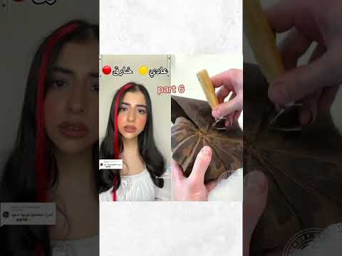 #قصص #اسراء #نبيل #اكسبلور