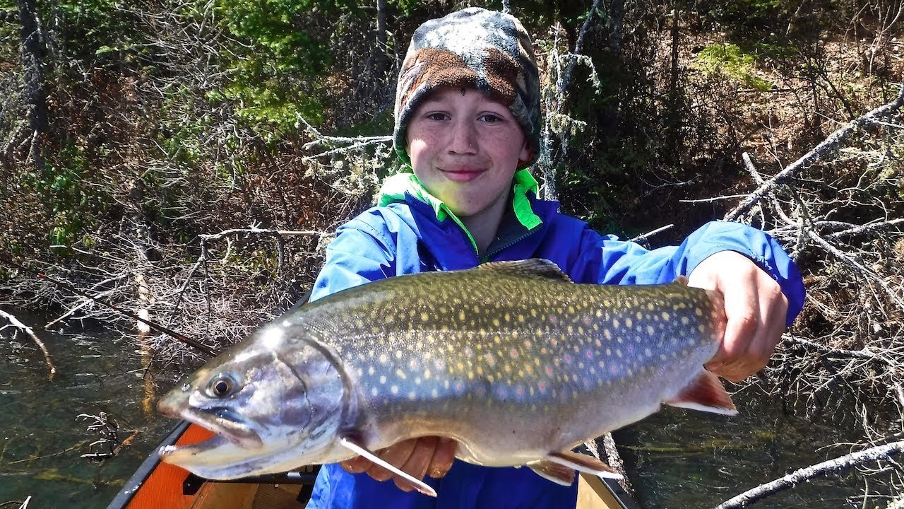 Back Lake Brook Trout Bonanza In Algonquin Park! - Canada Fishing Guide