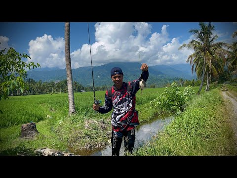 2 Hari berburu mencari ikan di sungai, parit, dan rawa!!🐠🥰