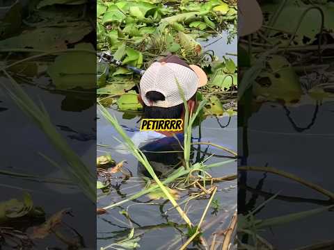 Petirr #mancing #petualang #pusanggala #fishing