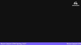Oh No...Another Drunk Chick: Hamster in the Afternoon Stream
