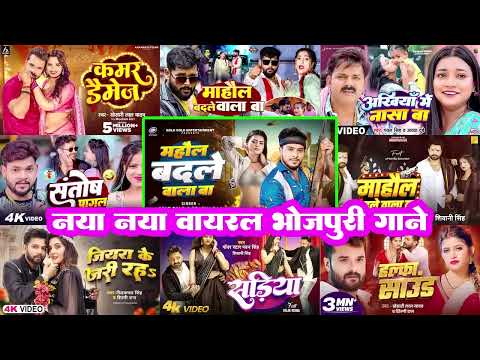 #Golu Gold 🔥 माहौल बदले वाला बा | #Ritesh Pandey | Tuntun | Pawan Singh | Khesari Lal | Pramod Premi