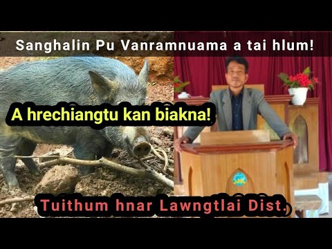 Sanghalin Pu Ramnuama a tai hlum! Thil thlendan kimchang ! Tuithum hnar Lawngtlai Dist.