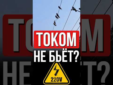 ⚡ Почему электрики не боятся высокого напряжения: Секрет здесь!