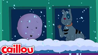 Who has come to visit Caillou? | Caillou's New Adventures - WildBrain