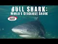 Understanding Shark Misconceptions and Facts
