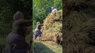 Höbekte kaldım 🥹 #keşfet#keşfet #keşfet #ytdayibenionecikarnolur #keşfet  #ytdayibenionecikarnolur