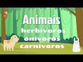 Tipos de Dieta Animal