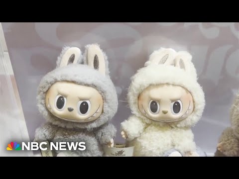 YouTube video thumbnail: Stolen Labubu Merchandise Recovered by California Police