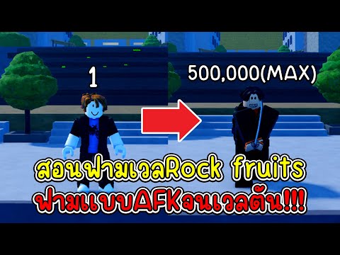 สอนฟามเวล Rock Fruits AFKไว้ชิวเกิ้น!! | Rock Fruits