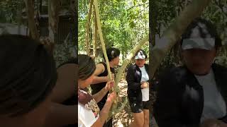 Nakakita mig Tarsier !