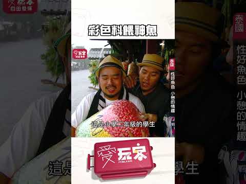 神魚吃好吃滿！【週一愛玩客】#自由發揮 #shorts