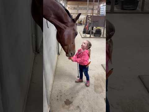 Girl Loves Feeding Horses 🥰