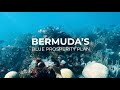 Bermuda's Ocean Protection and Economy