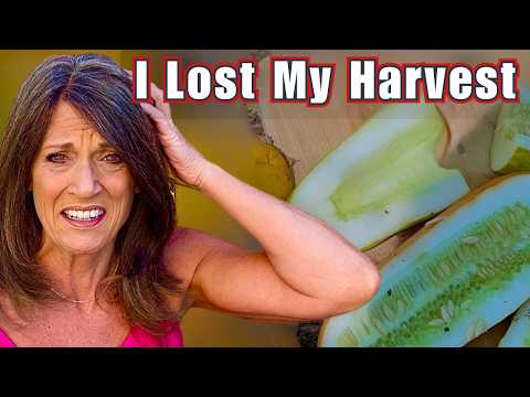 5 Mistakes That Cost Me My Harvest: Learn From This