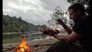 Josh James New Zealand ADVENTURE VLOG #335 Crayfish, Flounder, Chainsaw, Freedive, Homestead stuff