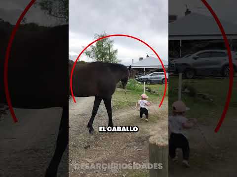 La amistad mas sincera del mundo ❤️