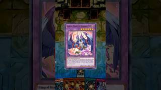 SUPER POLY GOES HARD 🤙