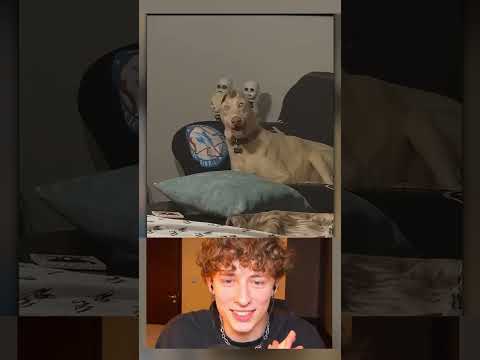 Los PERROS mas ESCALOFRIANTES