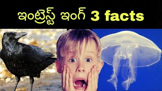 most ఇంట్రెస్ట్ఇంగ్ 3 facts #facts #shorts