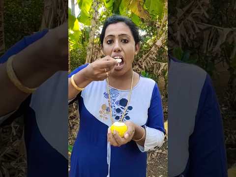 Fun Ball Ice Cream tasting with family