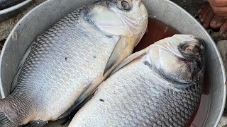 Shravan Month Special Garap wali Modar fish At Hansot