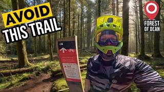 The Forest of Dean Flatlands Trail