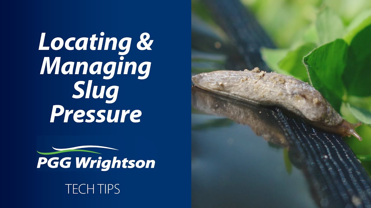 Locating and Managing Slug Pressure | PGG Wrightson Tech Tips