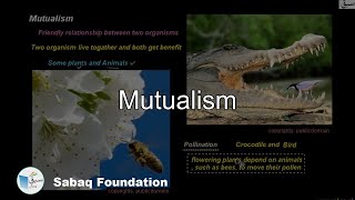 Mutualism