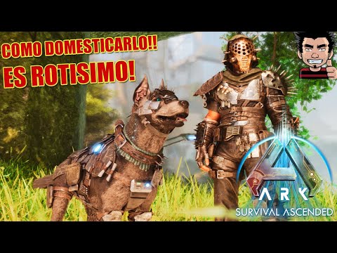 COMO TAMEAR EL ARMADOGGO! EL MEJOR COMPAÑERO! ARK SURVIVAL ASCENDED EXTINCTION DLC ESPAÑOL