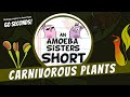Carnivorous Plants and Their Adaptations