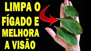 FOLHA PODEROSA que Protege a VISÃO e Recupera a Saúde do FÍGADO