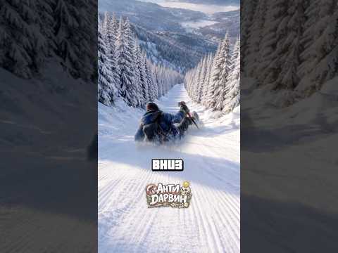 Британец 1:0 Лавина