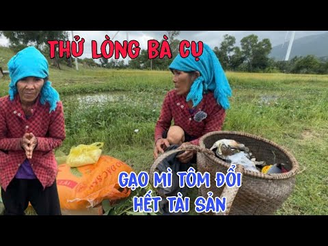 Giả Vờ Thử Lòng Bà Cụ mang gạo mì Tôm đổi hết tài sản và cái kết bất ngờ