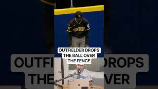 Outfielder drops the ball over the fence for a home run, a breakdown