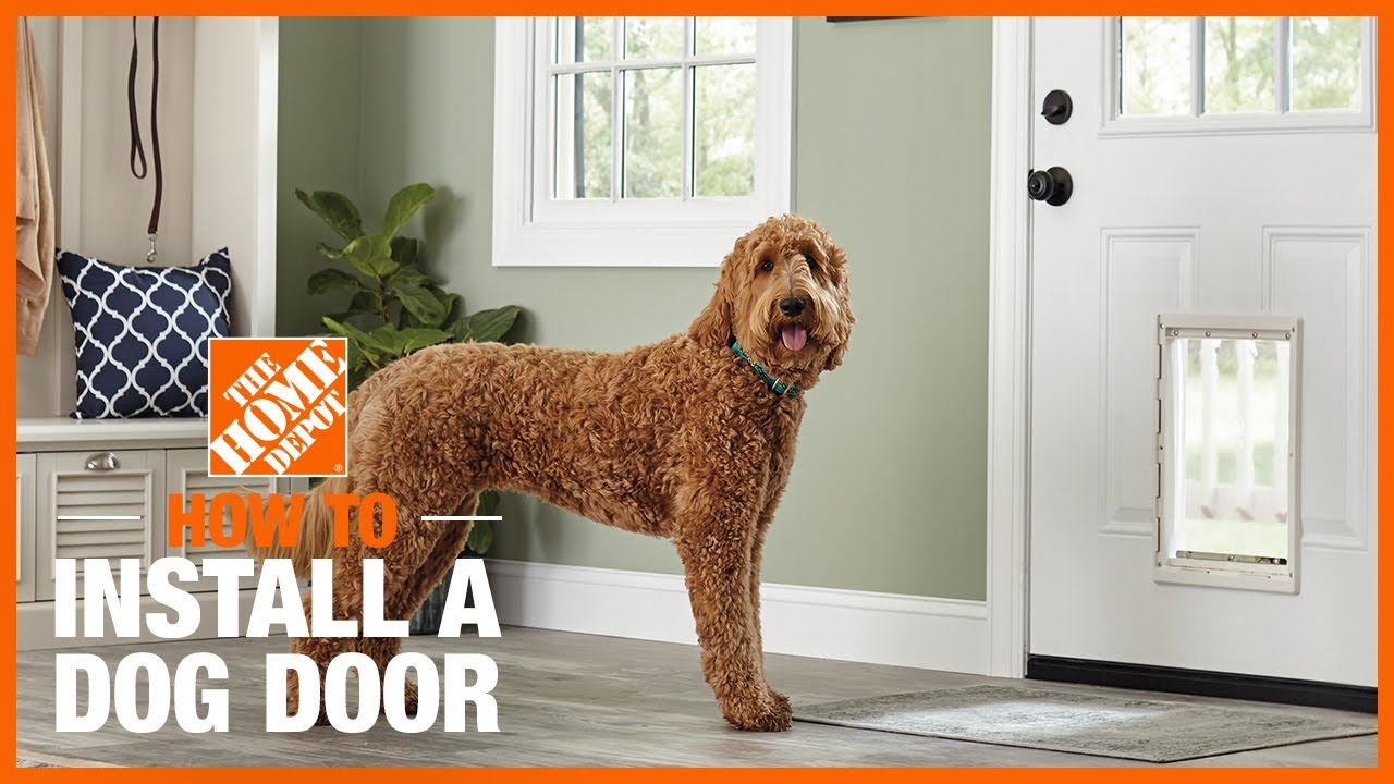 How to Install a Dog Door