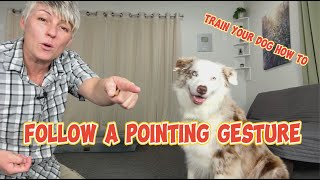 Teach your dog to follow a pointing gesture!