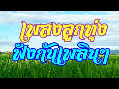 เพลงลูกทุ่ง ฟังกันเพลินๆ